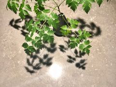 -木守西溪溪隐餐厅