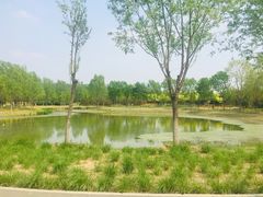 -东郊湿地公园