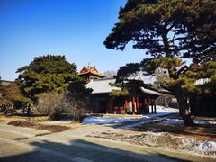-北陵公园