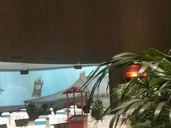 -北京东三环希尔顿逸林酒店