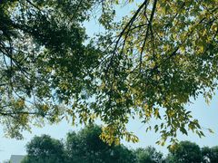 -白石龙音乐公园