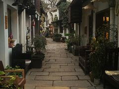 -运河游船(武林门码头)