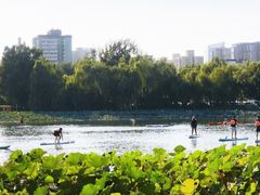 -WhaleSports户外水上运动俱乐部(朝阳公园店)