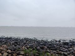 -上海吴淞炮台湾国家湿地公园