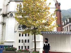 -四川省成都市彭州市白鹿镇