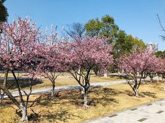 -白塘生态植物园