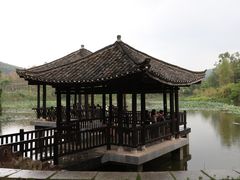 -老木棉·匠园