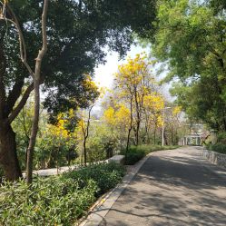 -番禺儿童公园