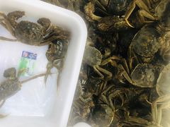 -蟹谢蒸鲜自助餐厅