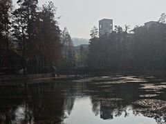 -武汉大学-樱园