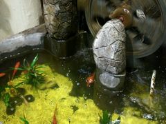 -富侨养生(康乾店)