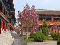 -盛世南宫影视城(北普陀影视城)