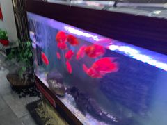 -天狗山料理(省体店)