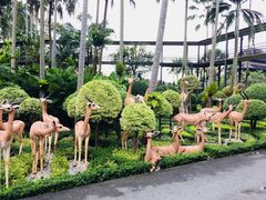 -东芭乐园