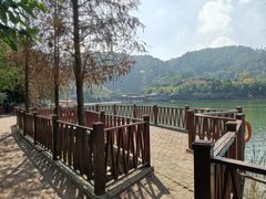 -水濂山森林公园