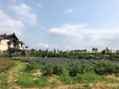 -清远熹乐谷温泉度假酒店