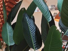 -雲物·云南小馆(好悦天地店)