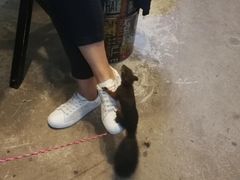 -MOJO密室逃脱(中街旗舰店)