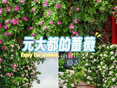 -元大都城垣遗址公园