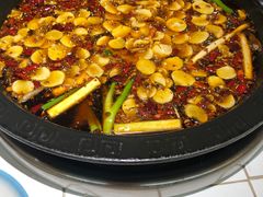 -费明中罗非鱼(大石坝店)