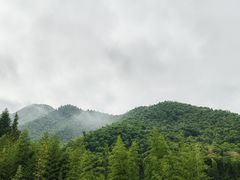-莫干山风景区