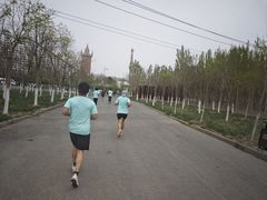-天津东丽湖风景区