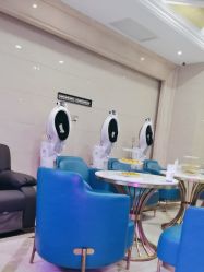 -碧莲盛·不剃发植发