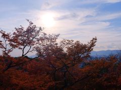 -常寂光寺