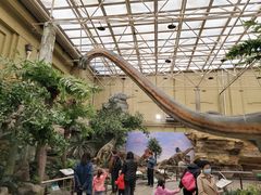 -国家自然博物馆