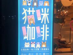 -飞行喵MR PILOT|猫舍·猫咖(静安大融城店)