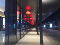 -王权免税店(普吉市区店)