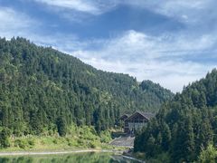 -武陵山森林公园