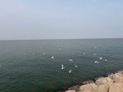 -东疆建设开发纪念公园