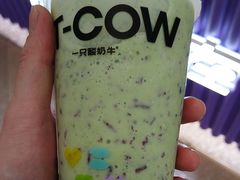 -一只酸奶牛(来福士店)