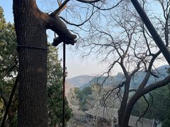 -香山公园