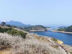 -广州市流溪河国家森林公园