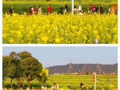 -光明小镇欢乐田园