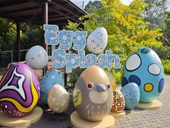 -新加坡飞禽公园