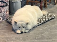 -摩道团机车工坊 摩托车维修 精洗店