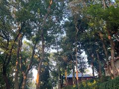 -之江大学-旧址