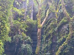 -梭布垭石林景区