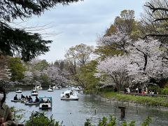 -井之头恩赐公园