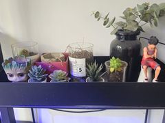-兰拓相机租赁·维修·二手(上海店)