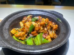 -鸽小宝(深圳首店)