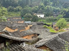 -杨家堂村