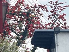 -粥旺庄(芳村店)