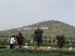 -君乐宝优致牧场