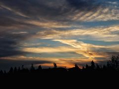 -艾溪湖湿地公园