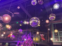 -胡桃里乐队酒馆(昙华林店)
