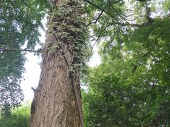 -溪口-滕头旅游景区